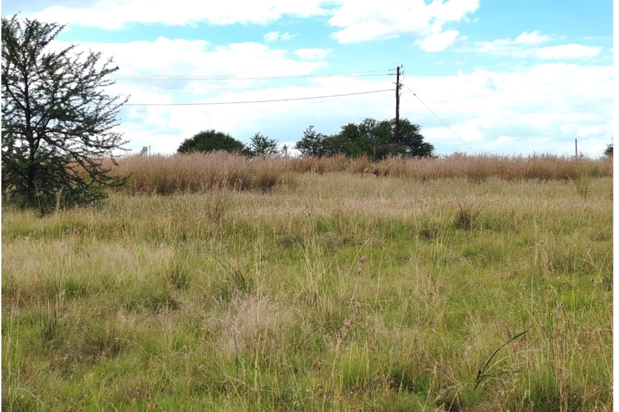 0 Bedroom Property for Sale in Oranjeville Free State